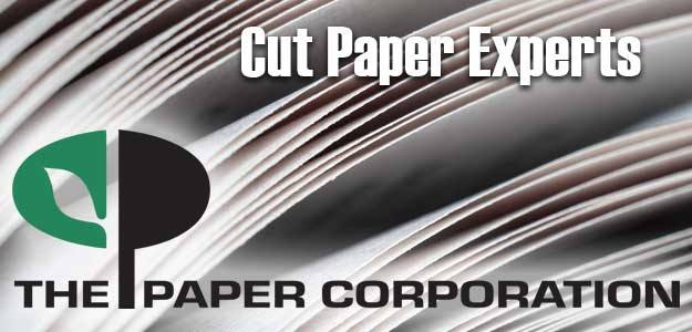 cut paper experts